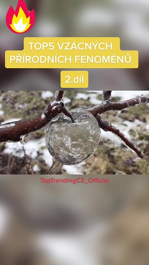 #toptrendingcz #trending #facts #top5 #viral #czech #youtuber