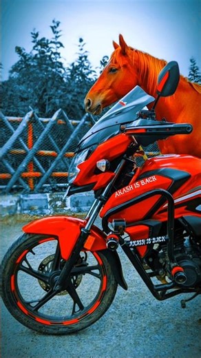 Horse in sp 125 red horse in red sp125 new model review and modifications and crash guard customise