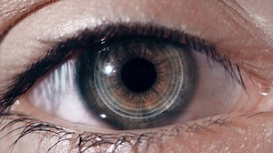 Human Eye Scan Technology Interface Animation. Close-up of high tech cyber eye