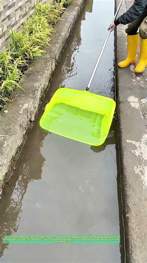 Pêche avec un filet : Comment capturer les poissons dans un canal ?