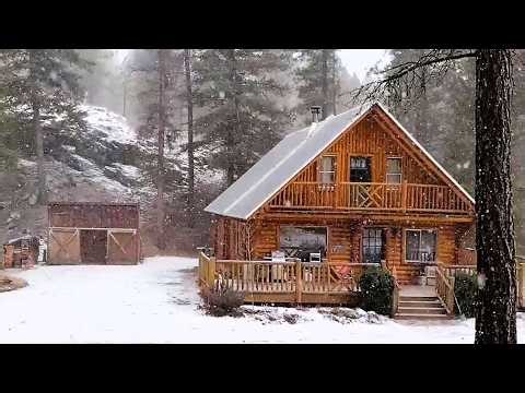 Snow at the Cabin. Survival Water & Preparing for Spring.