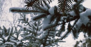 Video by Khohelen on Pexels