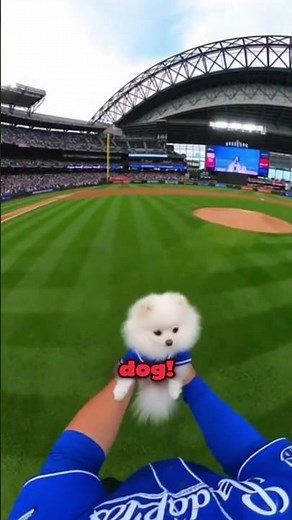 I Saved This Dog At A Super Bowl Match! 😱 #shorts