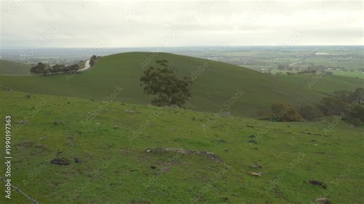Rolling Green Hills Under Dramatic Sky At Rifle Range Lookout With Views Of Barossa Valley In South Australia. wide shot