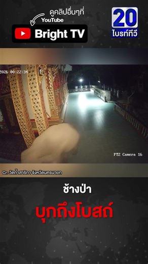 นาทีระทึก! ช้างป่า เข้าวัด เดินวนรอบโบสถ์กลางดึก