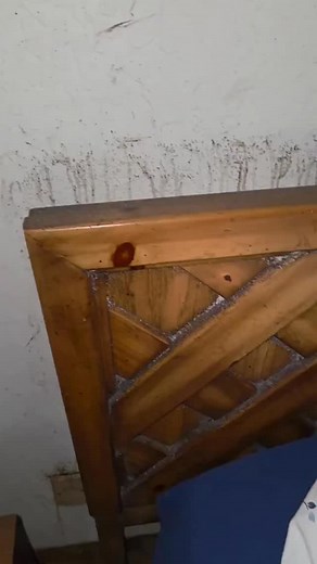 3.6K views · 509 reactions | Have you ever seen a bed bug infestation like this ? | Peski | Facebook