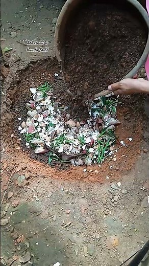 cara membuat pupuk kompos paling simpel #gardening