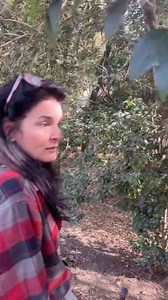 128K views · 6K reactions | Three years ago my daughter Emery found a...