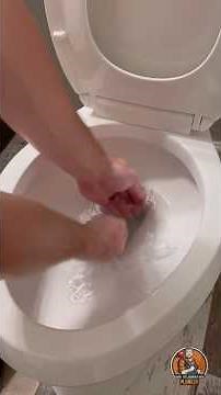 Toilet Replacement