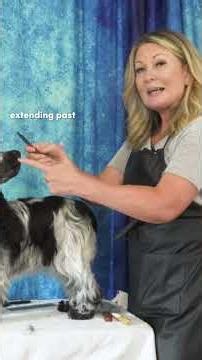 Ready for Stripping! (Part 9) #dogshow #grooming #doggroomingtools