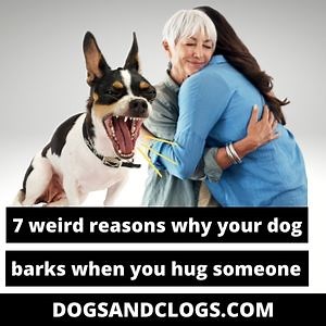 7 Weird Reasons Why Your Dog Barks When You Hug Someone