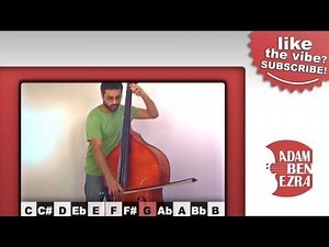The YouTube Upright Bass | Interactive Video!