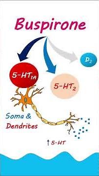 Buspirone as anxiolytic