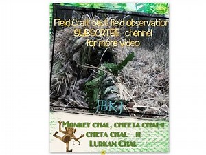 What is Field Craft in army? Purpose of Field Craft | Essential of Field Craft