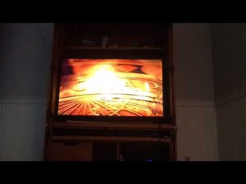 Opening to Really Wild Animals: Dinosaurs and Other Creature Features 2005 DVD