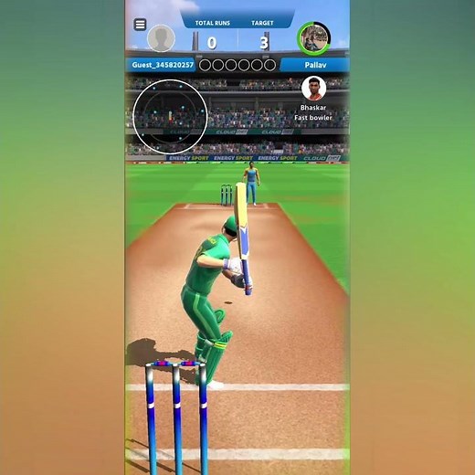 Cricket Game 3D: Bat Ball Game