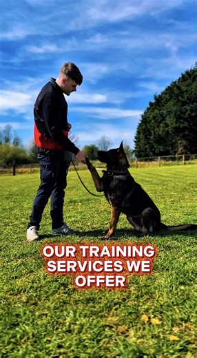 OUR OBEDIENCE TRAINING 🐾 | BUILD A STRONGER BOND WITH YOUR DOG OUR OBEDIENCE TRAINING 🐶 is designed to help your dog become well-behaved, disciplined, and responsive through positive, structured training methods. We focus on building trust, respect, and clear communication between you and your dog for a happier and more balanced relationship. From basic commands like sit, stay, and come, to improving leash manners and social behavior, OUR OBEDIENCE TRAINING 🦴 covers all essential skills neede