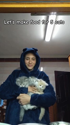 أكل صحي وسريع للقطط: وصفات سهلة للمحبين