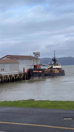 Deadliest Catch Ramblin’ Rose 🌹 ⚓️🦀 #Oregon #crab #fishingboat #astoria #deadliestcatch | Casey Lee Swayze