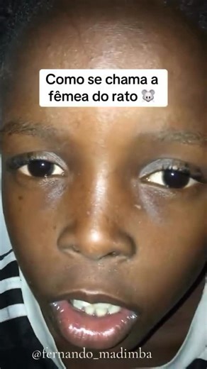 Fernando Madimba🐊 | Siga @fernando_madimba | Instagram