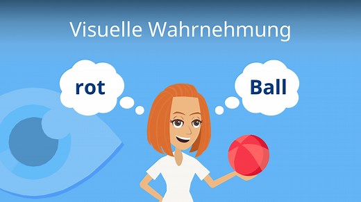 Visuelle Wahrnehmung • einfach erklärt