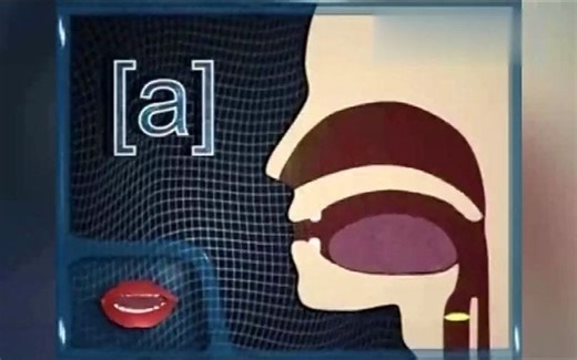 普通话39个韵母发音唇形和舌位变化过程动画