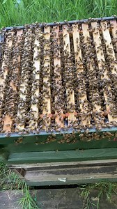 The ladies of Norfolk Bees have been busy producing Honey for the Gorefield show, where we will be there with Bees and our lovely Honey🍯🍯 | Norfolk Bees