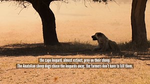 When we travel we get to explore this jewel of a planet, connect with communities of extraordinary people and witness astonishing wildlife. All of this is a precious gift, but it comes with responsibilities. That’s why, this Earth Day - and every other day - alongside our family of TTC brands and the TreadRight Foundation, we pledge to Make Travel Matter. The TreadRight Foundation was started over a decade ago, and today supports over 60 projects globally, with one clear purpose: ensuring our tr