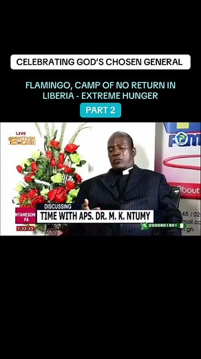 Flamingo Camp in Liberia: A Story of Survival