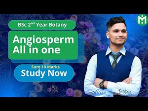 BSc 2nd Year Botany || Angiosperm All in One 🔥