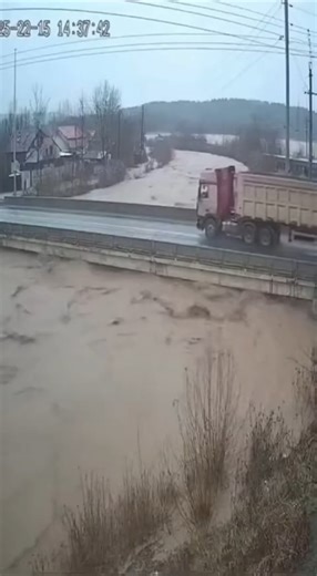 What a miracle for the truck driver? | SR Digital Tips