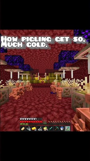 Water in the NETHER?! 😱 Rare Secret Base!