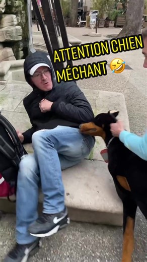 Chien Méchant - Caméra Cachée Humoristique 🤣