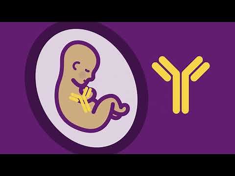 National Immunisation Program – How vaccines work for pregnancy and newborns