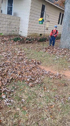 Working on the back yard now | Bruce Matthews