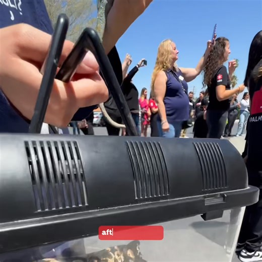 An open concept vet hospital means no waiting rooms, no separations—just you and your pet together through it all. | VEG ER for Pets | Facebook