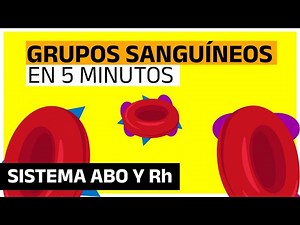 GRUPOS SANGUÍNEOS (Sistema ABO y Factor Rh) | EN 5 MINUTOS