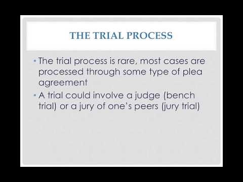 (7) Pretrial and trial process