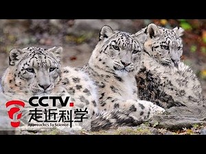 【Close to Science】20171228 | CCTV Close to Science