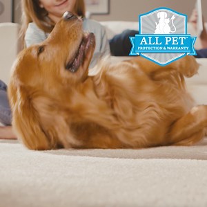 7K views | Find your local retailer. | Mohawk Flooring | Facebook