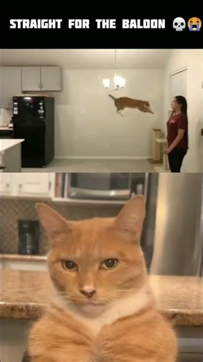 👁️👄👁️ straight