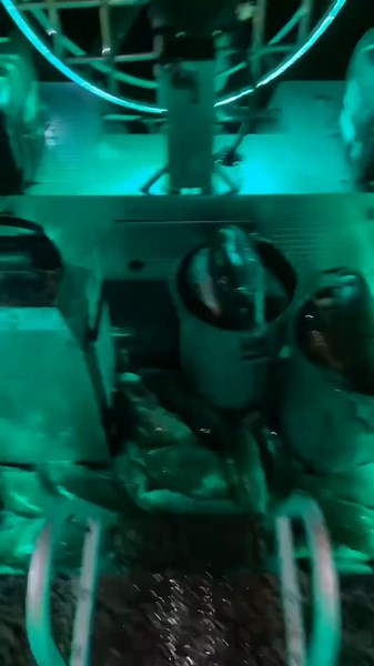 THE SPAWN JUST BEGUN! ##minnesota##mn##bowfishing##fyp##foryou##fan##5star##foryourpage##foryoupage##bowfish##boat##magamouth##bowfishingboat##2023##sitkagear##led##bow##bowfishin##vader##mudmotor##fishing##carp##life##spawn