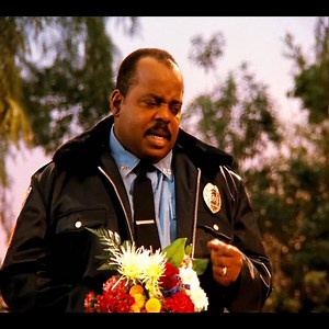 The Crash Course7 | Family Show Tvs