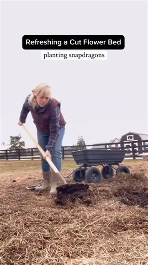 4.6K views · 81 reactions | This is what I spend my fall and winters...