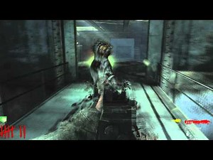 CoD WaW - Der Riese - Hidden song - Beauty Of Annihilation