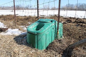 Jug Waterer Review | Best Automatic Waterer For Farms And Homesteads