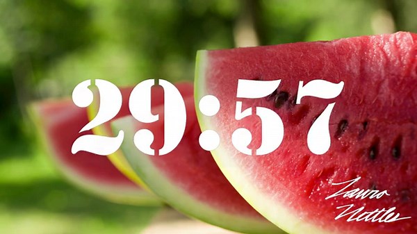 30 Minute Summer Watermelon Timer