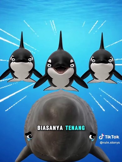 “Bahkan Orca Tak Selalu Jadi Raja! Ini Musuh yang Berani Melawan Balik” #paus #orca #fyp #faktaunik #follow