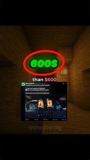 NEW Minecraft Capes for 600$???