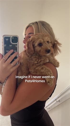 Welcoming Baby Milo: Our New Puppy Adventure